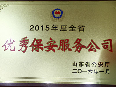 2015年度優(yōu)秀保安服務公司 